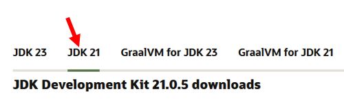 jdk21